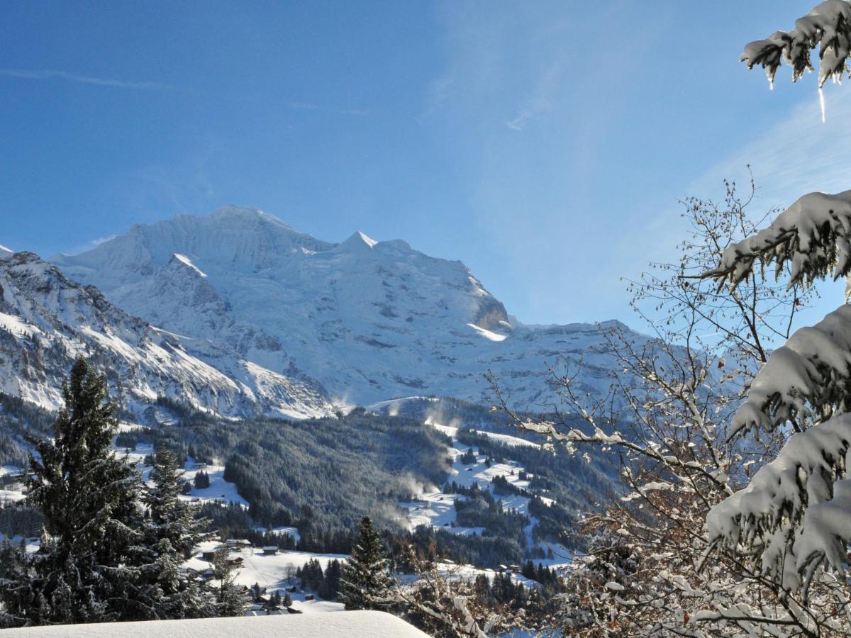 Apartment Silberhorn-1 By Interhome Wengen Kültér fotó
